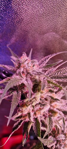 Growreport Bild 22