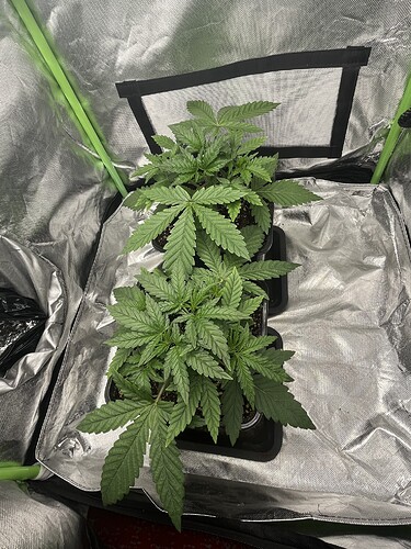 Growreport Bild 2