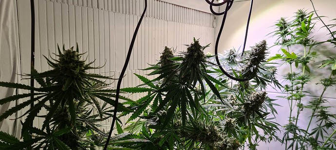 Growreport Bild 1