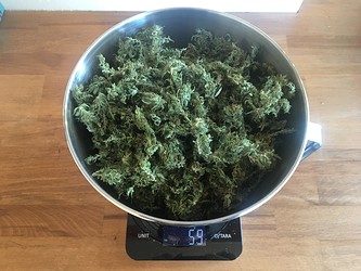 Growreport Bild 21