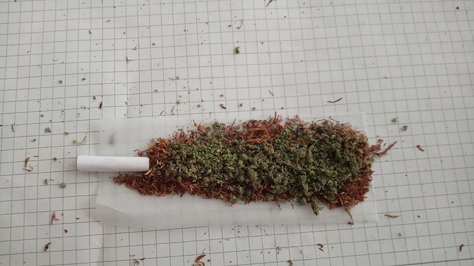 Growreport Bild 21