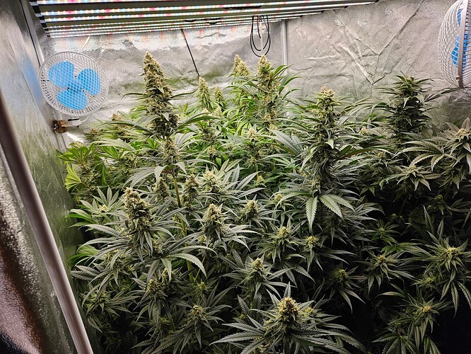 Growreport Bild 8