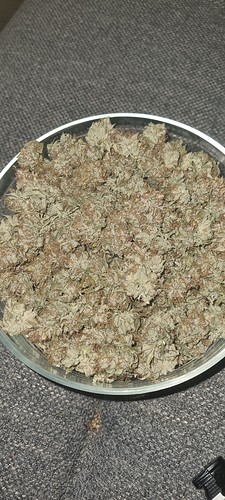 Growreport Bild 11