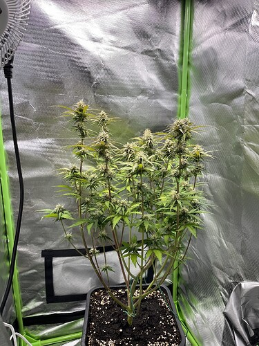 Growreport Bild 20