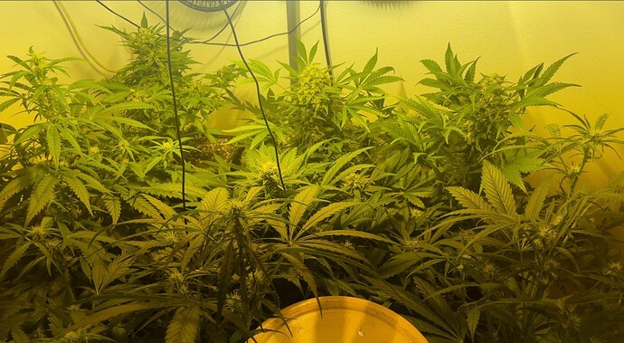 Growreport Bild 21