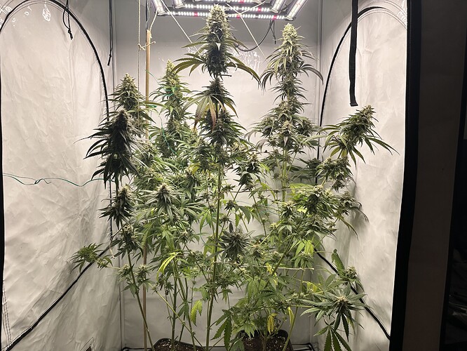 Growreport Bild 10