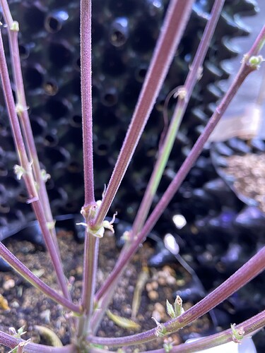 Growreport Bild 11