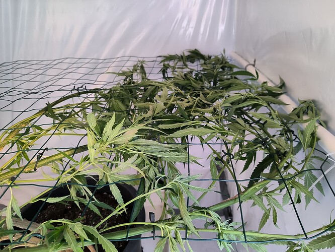Growreport Bild 9