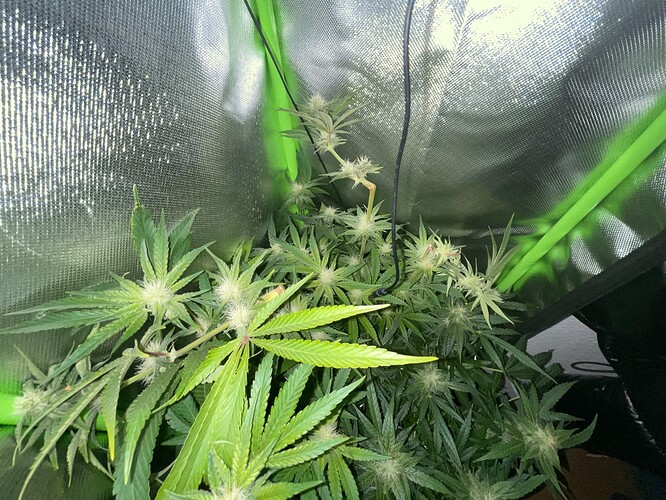 Growreport Bild 22