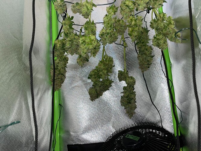 Growreport Bild 2