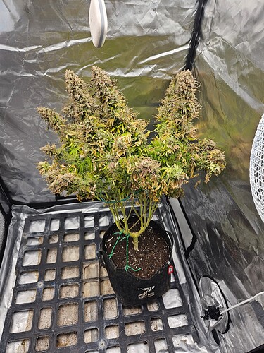 Growreport Bild 12