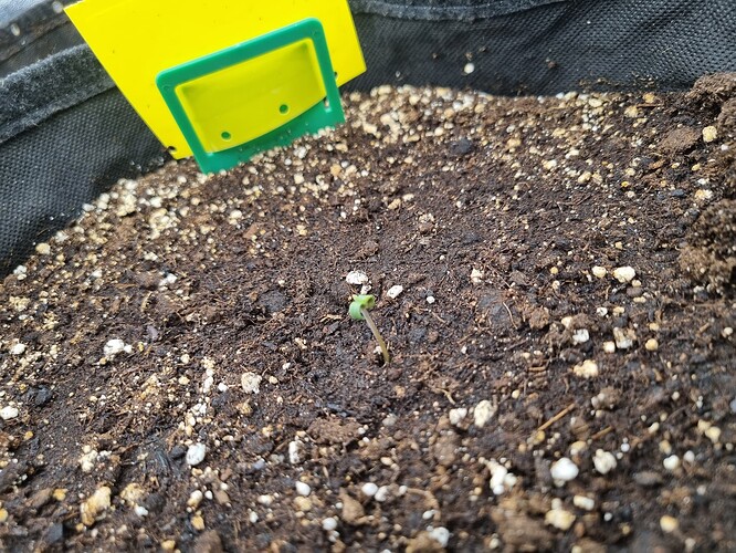 Growreport Bild 28