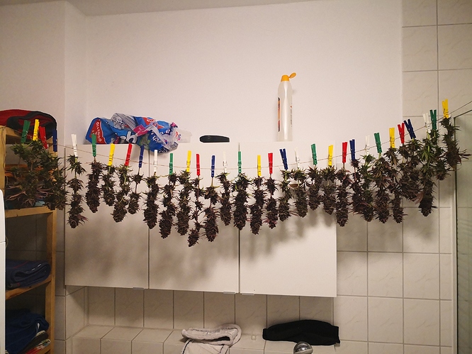 Growreport Bild 6
