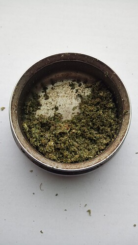 Growreport Bild 3