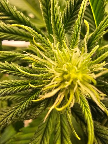 Growreport Bild 6