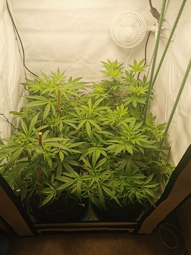 Growreport Bild 12