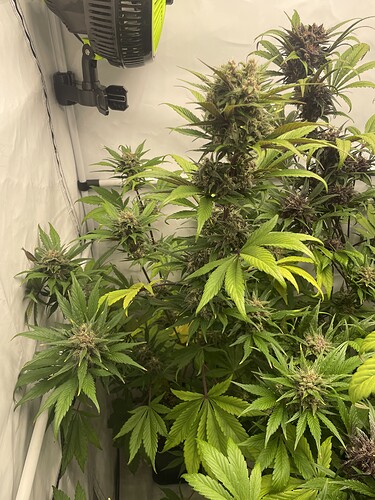 Growreport Bild 8