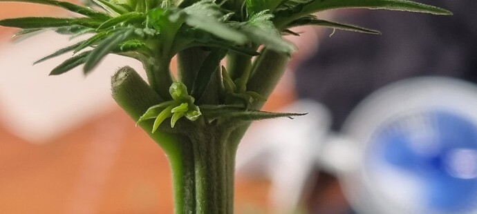 Growreport Bild 10