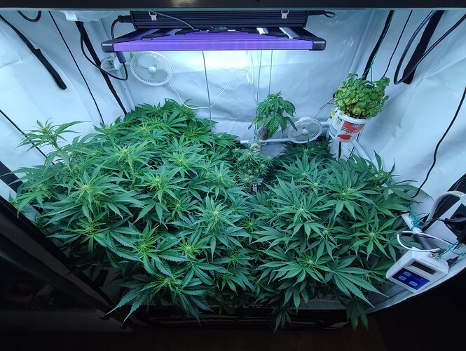 Growreport Bild 22