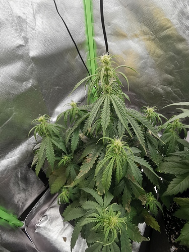 Growreport Bild 14
