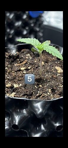 Growreport Bild 34
