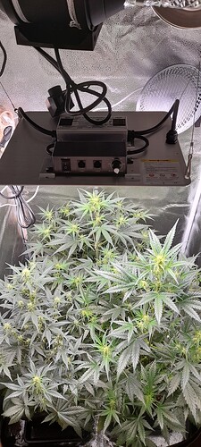 Growreport Bild 21
