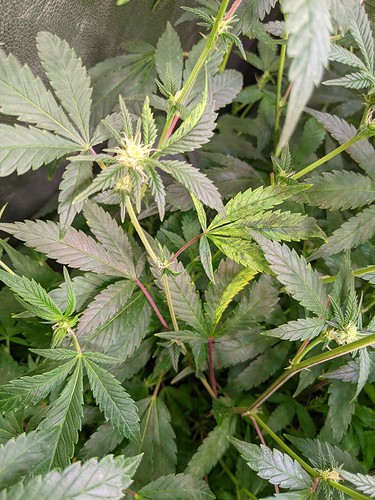 PXL_20220103_165053404