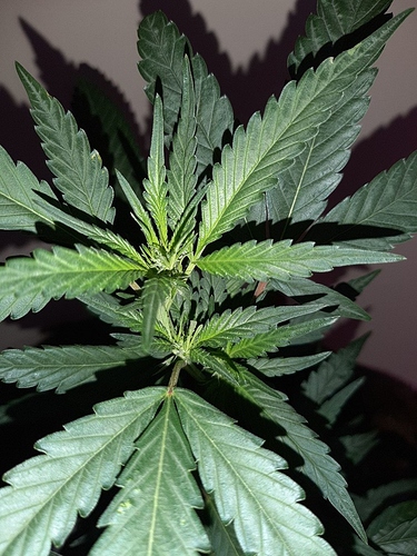Growreport Bild 15
