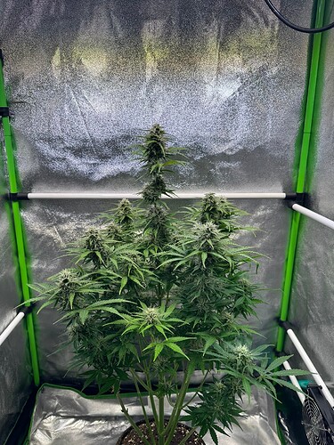 Growreport Bild 8