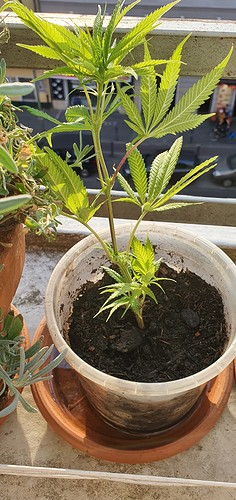 Growreport Bild 10