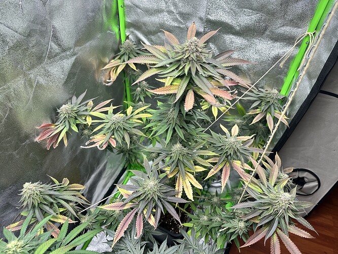 Growreport Bild 18