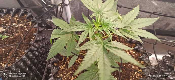 IMG-20230922-WA0025