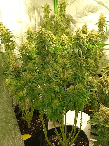 Growreport Bild 12