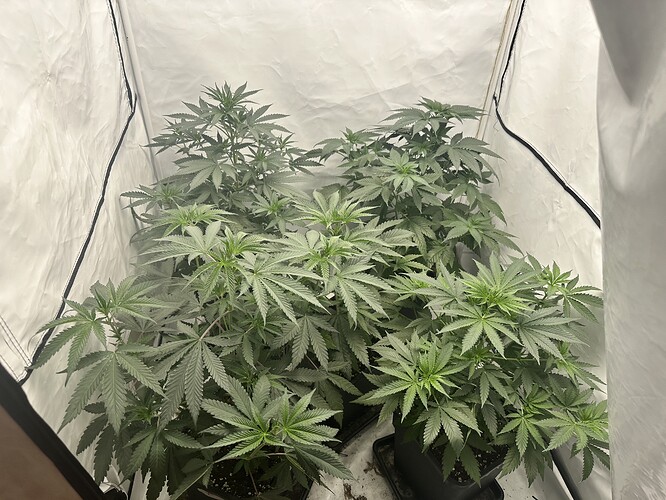 Growreport Bild 10