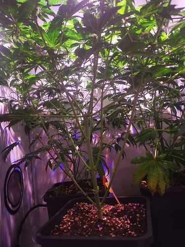 Growreport Bild 2