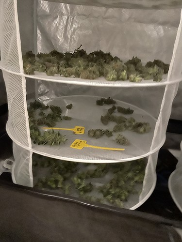 Growreport Bild 17