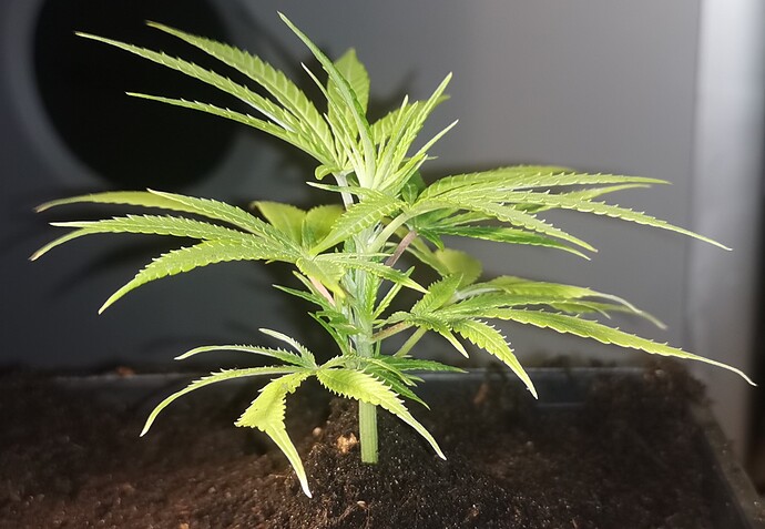 Growreport Bild 16
