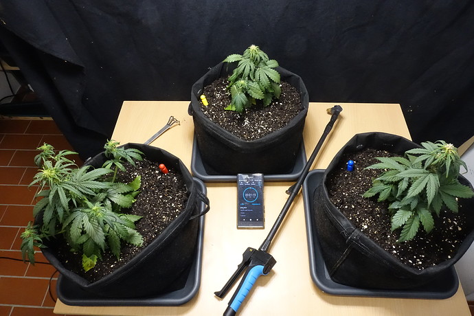 Growreport Bild 18