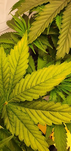 Growreport Bild 14