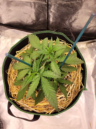 Growreport Bild 4