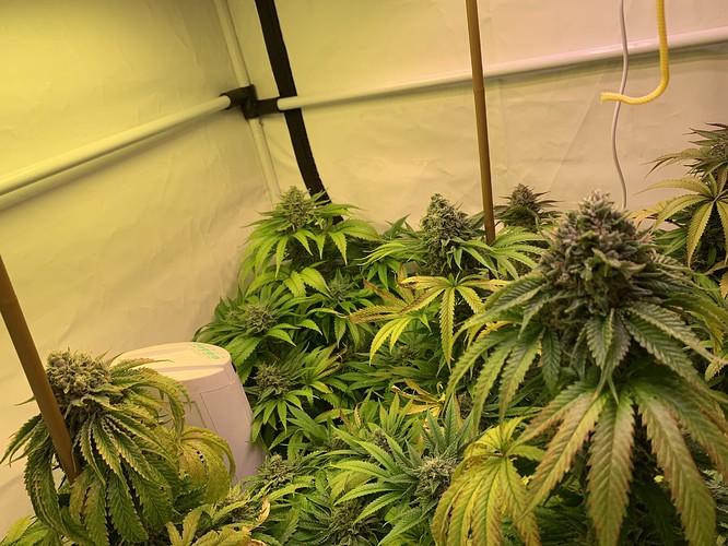 Growreport Bild 9
