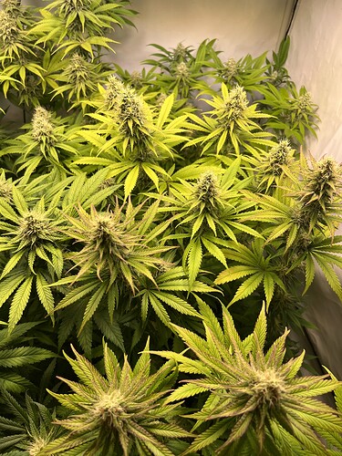 Growreport Bild 5