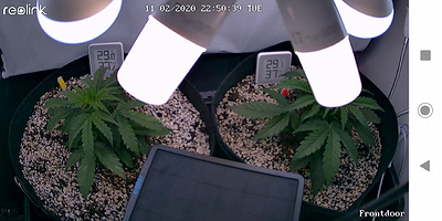 Growreport Bild 4
