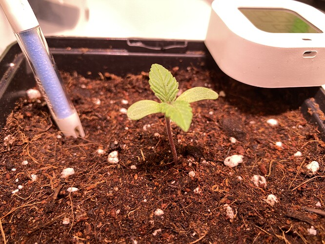 Growreport Bild 19