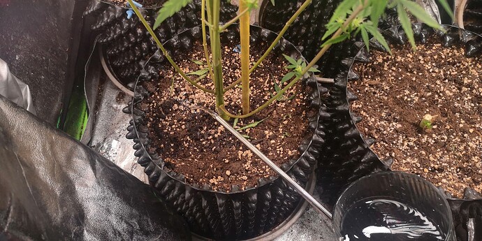 Growreport Bild 7