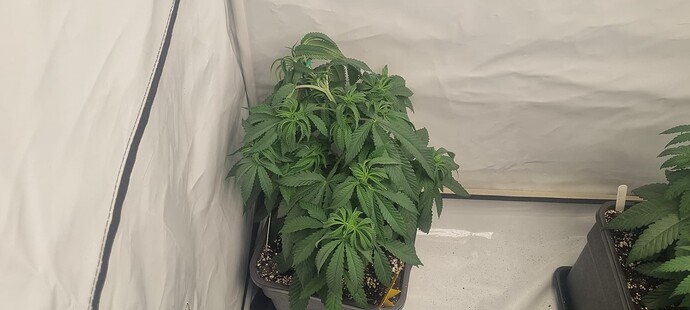 Growreport Bild 26