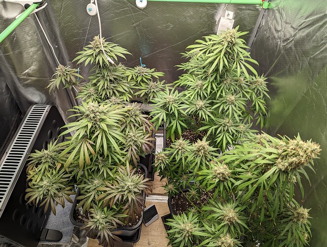 Growreport Bild 12
