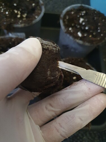 20231010_141456 - Kopie