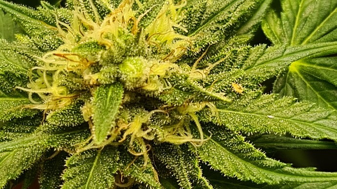 Growreport Bild 9