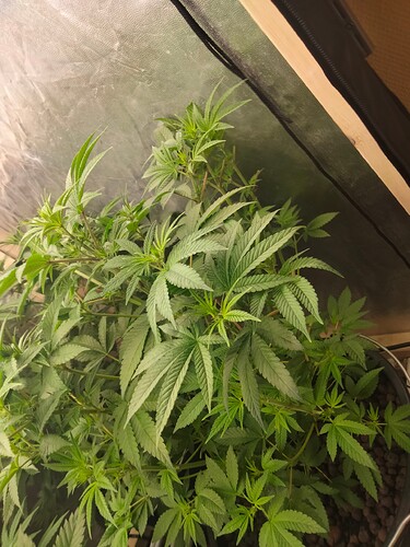 Growreport Bild 16